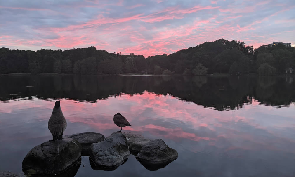 100 Jahre Harburger Stadtpark | Gartenkunst der Moderne